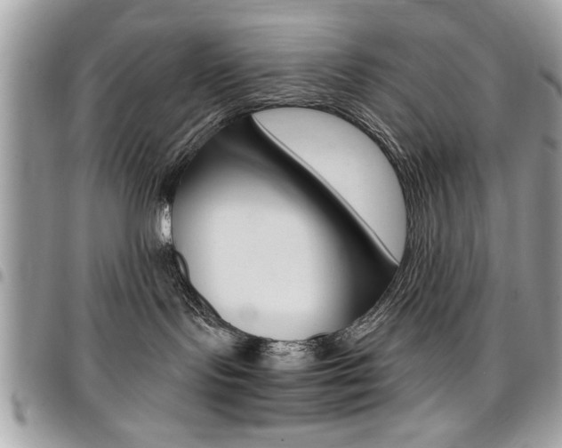 X0000096960095200802080910