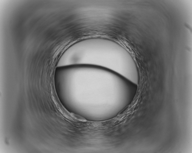 X0000096960097200802080909
