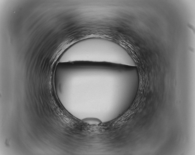 X0000096960098200802080909