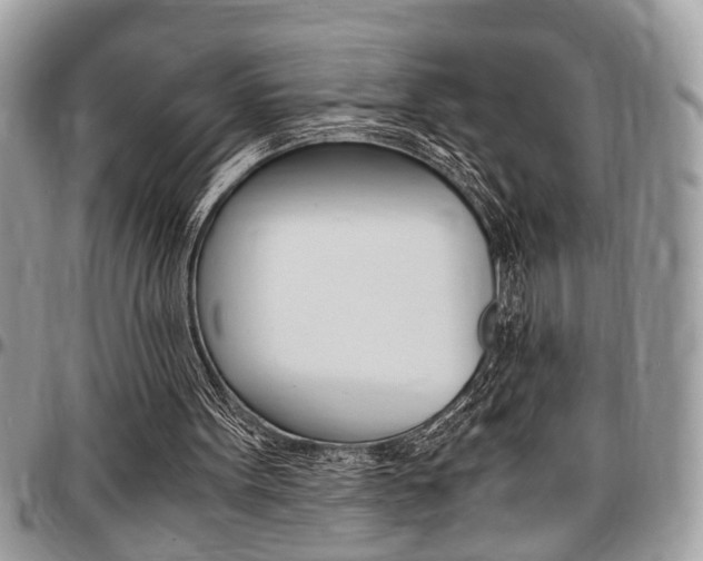 X0000096960099200802080909