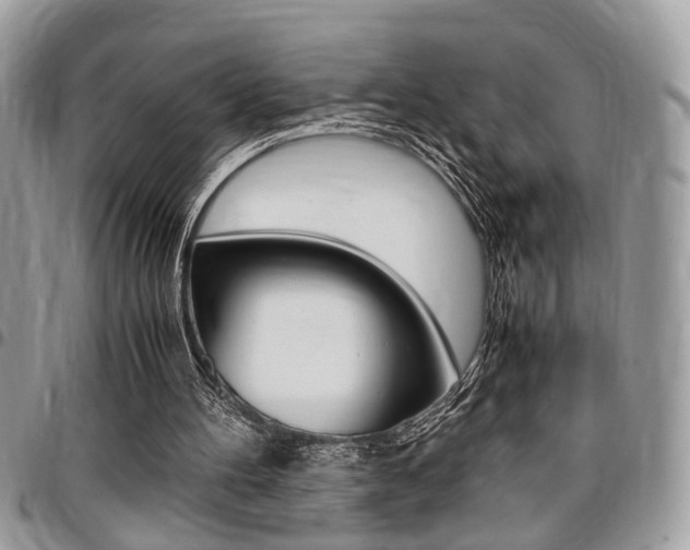 X0000096960100200802080909