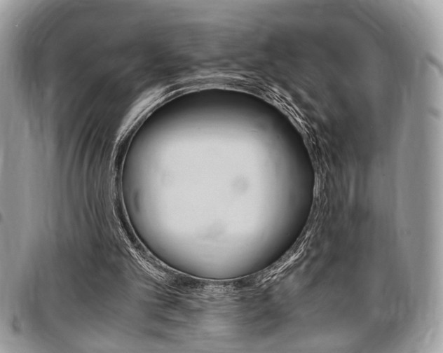 X0000096960101200802080909