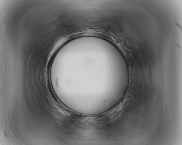X0000096960102200802080909