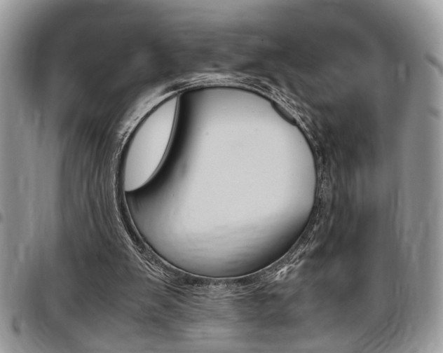 X0000096960103200802080909