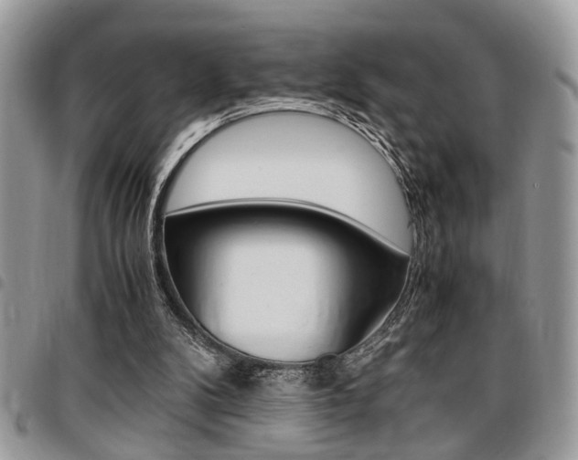 X0000096960104200802080909