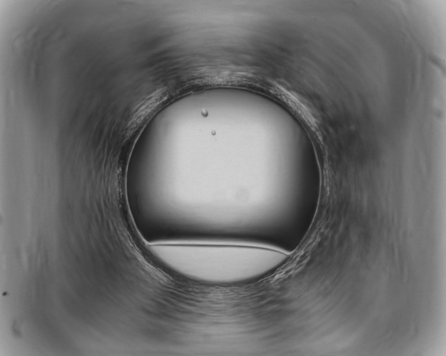X0000096960105200802080909