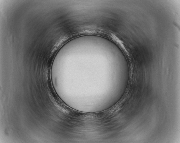 X0000096960106200802080909