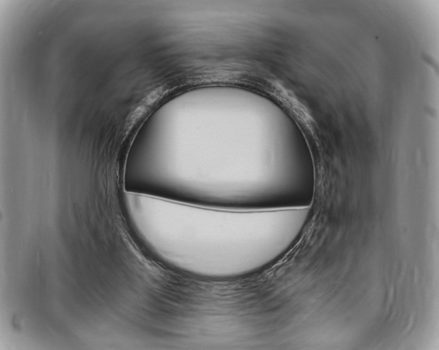 X0000096960107200802080909