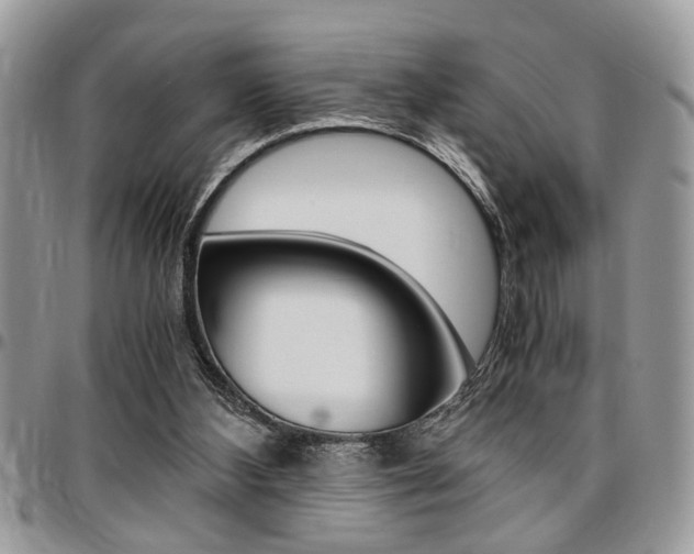 X0000096960108200802080909