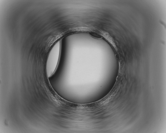 X0000096960109200802080909