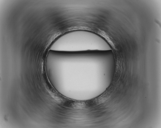 X0000096960110200802080909