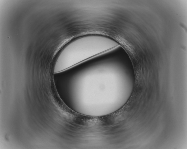 X0000096960112200802080909