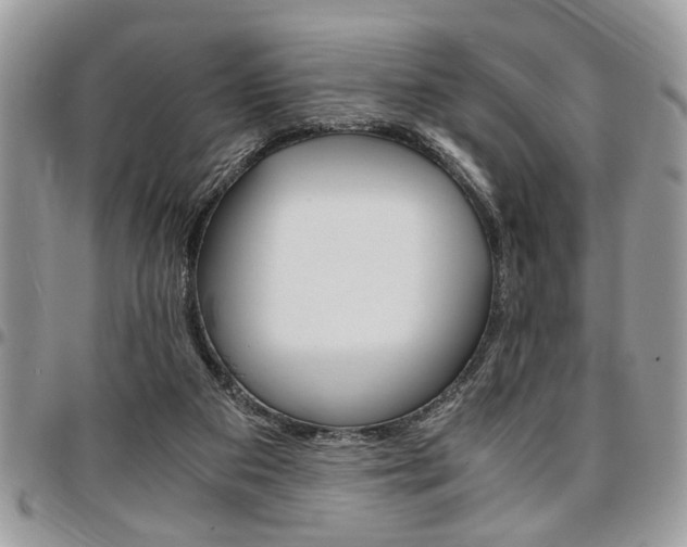 X0000096960113200802080909
