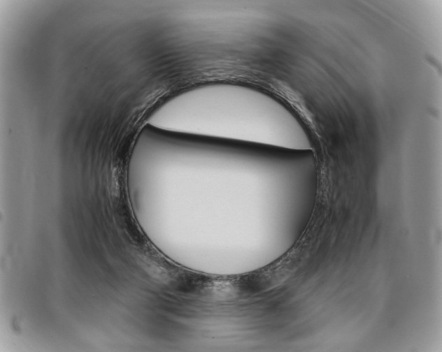 X0000096960114200802080909