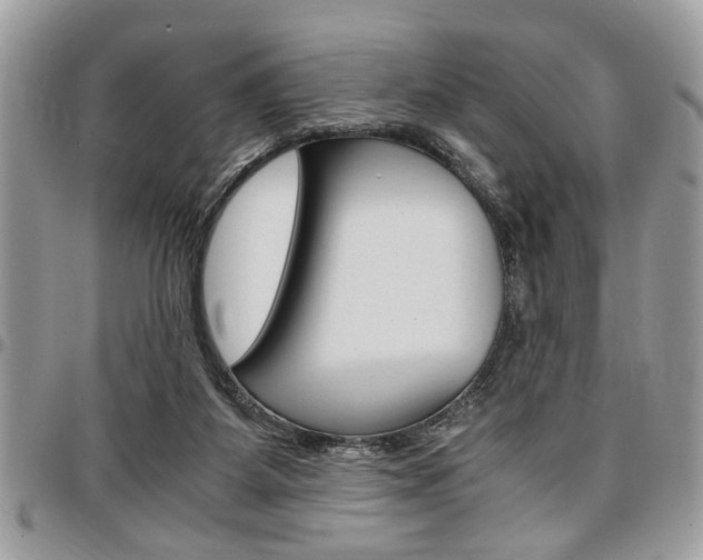 X0000096960115200802080909
