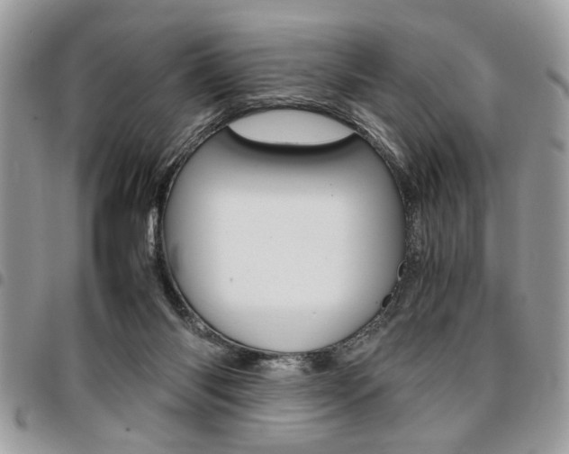 X0000096960118200802080909