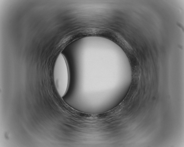 X0000096960119200802080909