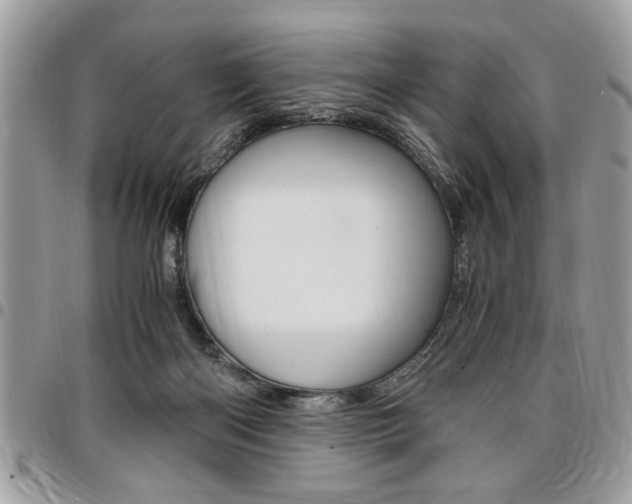 X0000096960122200802080909