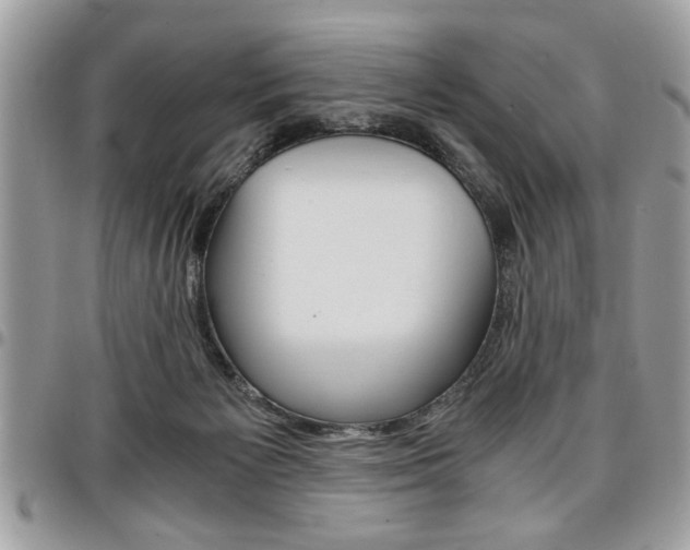 X0000096960125200802080909