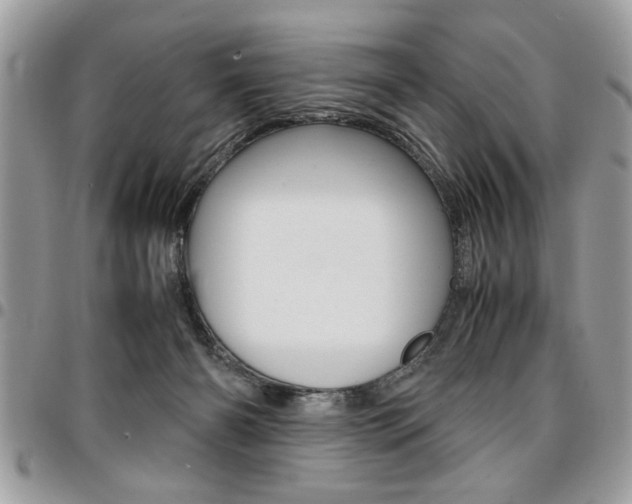 X0000096960126200802080909