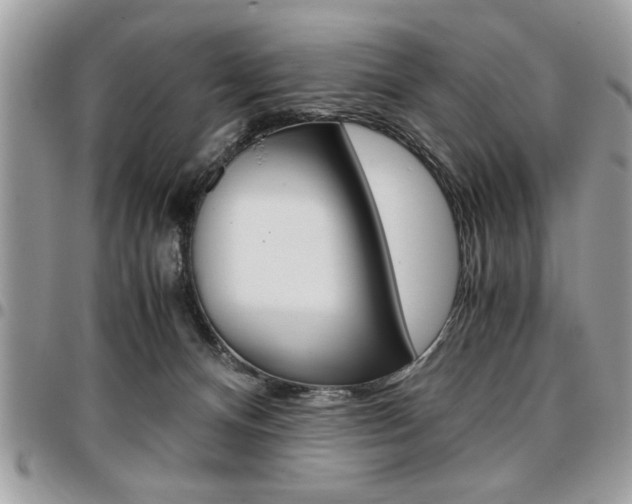 X0000096960128200802080909