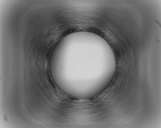X0000096960129200802080909
