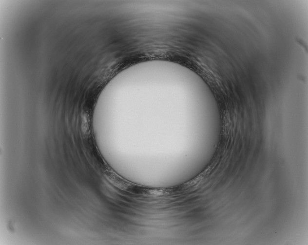 X0000096960130200802080909