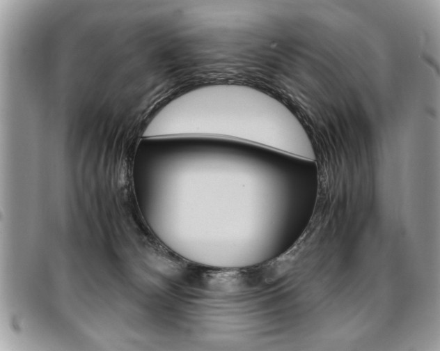 X0000096960132200802080908