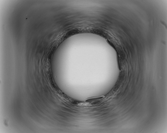 X0000096960133200802080908