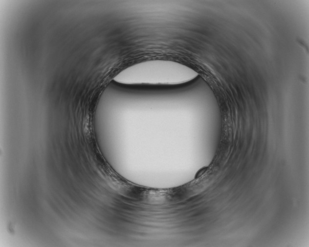 X0000096960134200802080908