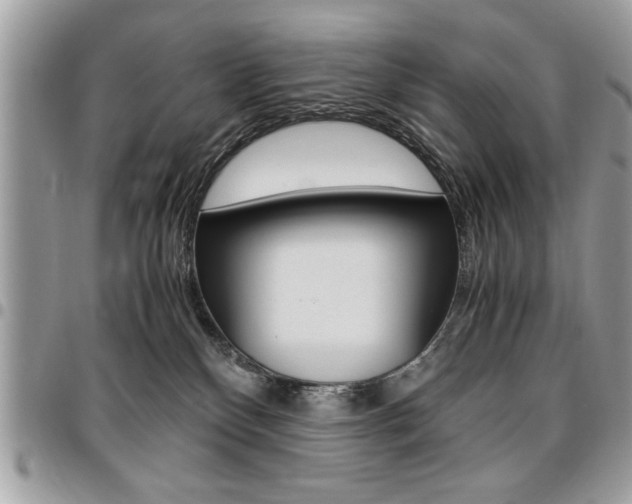 X0000096960136200802080908
