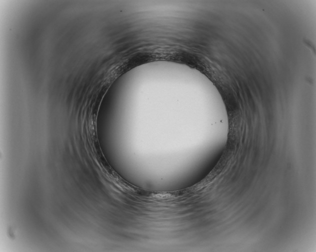X0000096960137200802080908