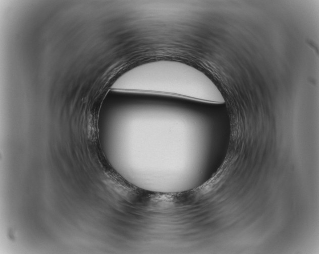 X0000096960140200802080908