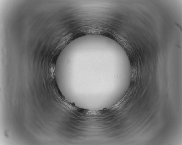 X0000096960142200802080908