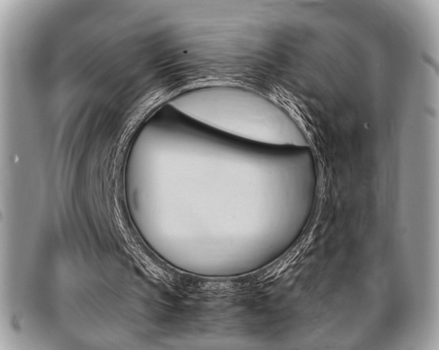 X0000096960145200802080908