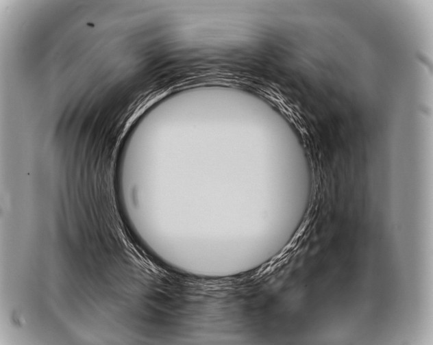 X0000096960146200802080908
