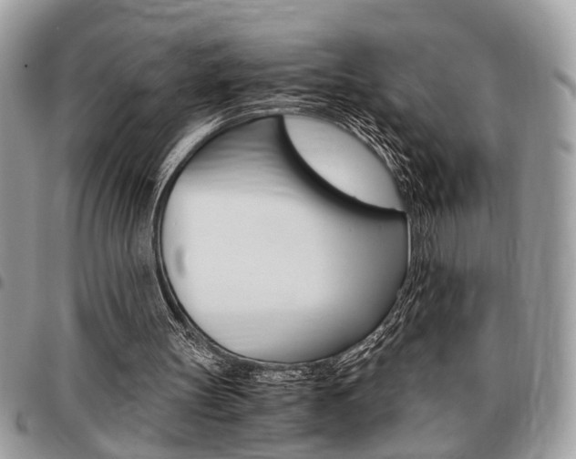 X0000096960147200802080908
