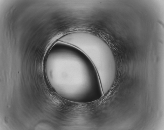 X0000096960148200802080908