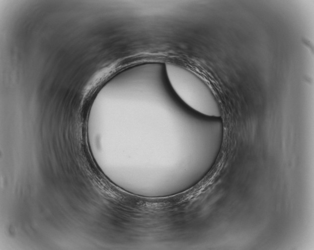 X0000096960149200802080908