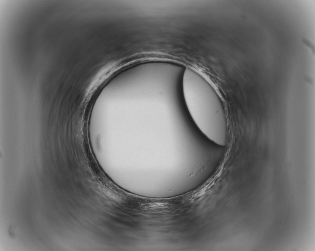 X0000096960151200802080908