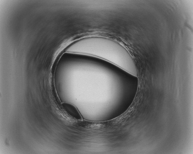 X0000096960152200802080908