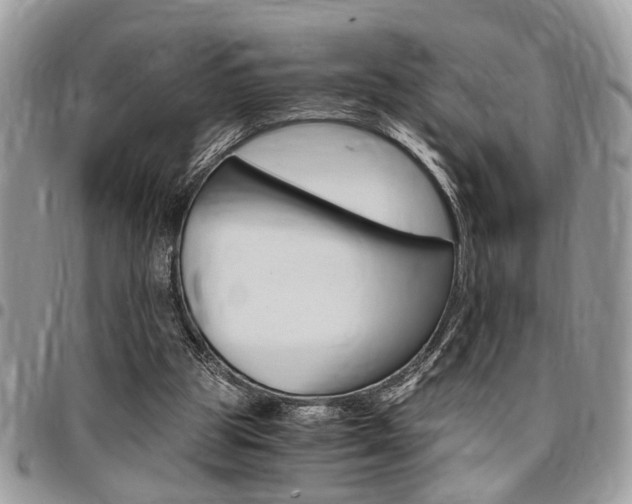 X0000096960153200802080908