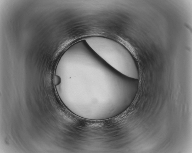 X0000096960155200802080908