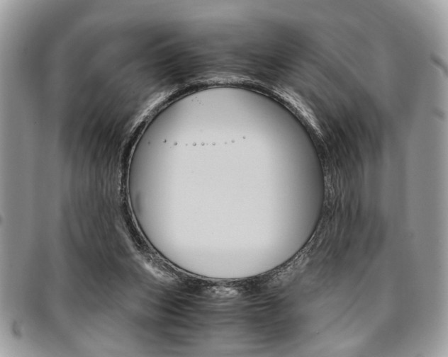 X0000096960159200802080908