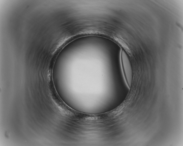 X0000096960160200802080908