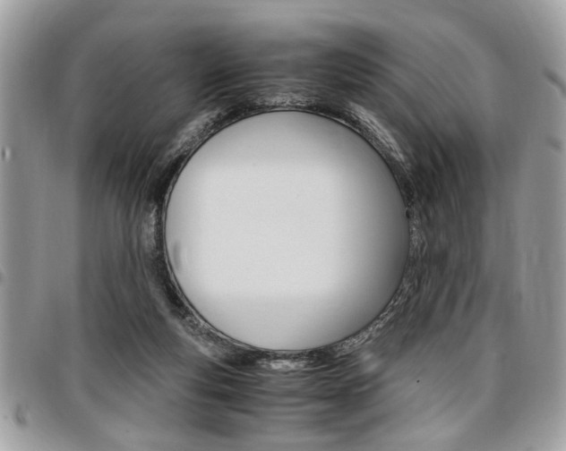 X0000096960163200802080908