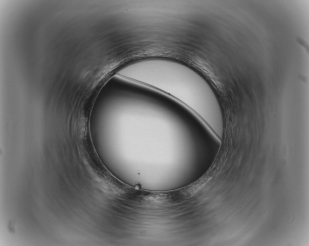 X0000096960164200802080908