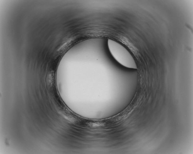 X0000096960165200802080908