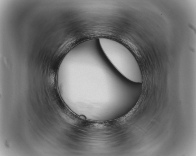 X0000096960166200802080908