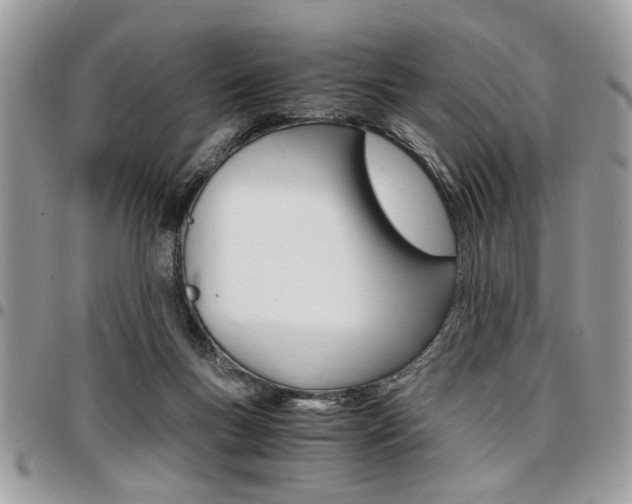 X0000096960167200802080908